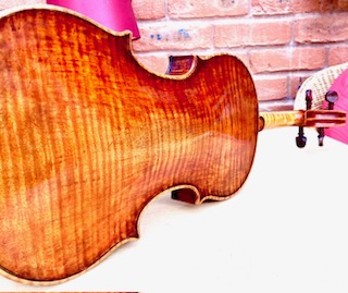 Violin Back 2